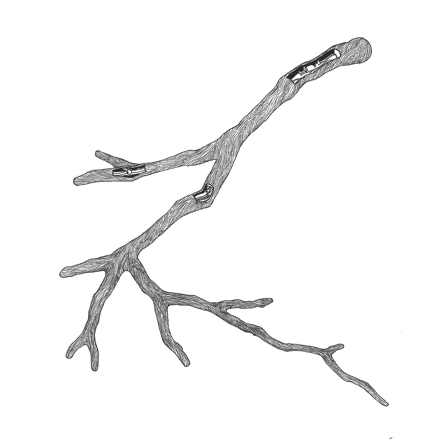 A Twig